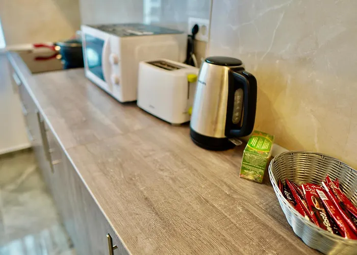 Apartman Coresi Luxury Sinuhe Residents For 4 *