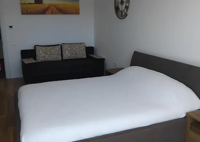 Coresi Luxury Sinuhe Residents For 4 브라쇼브